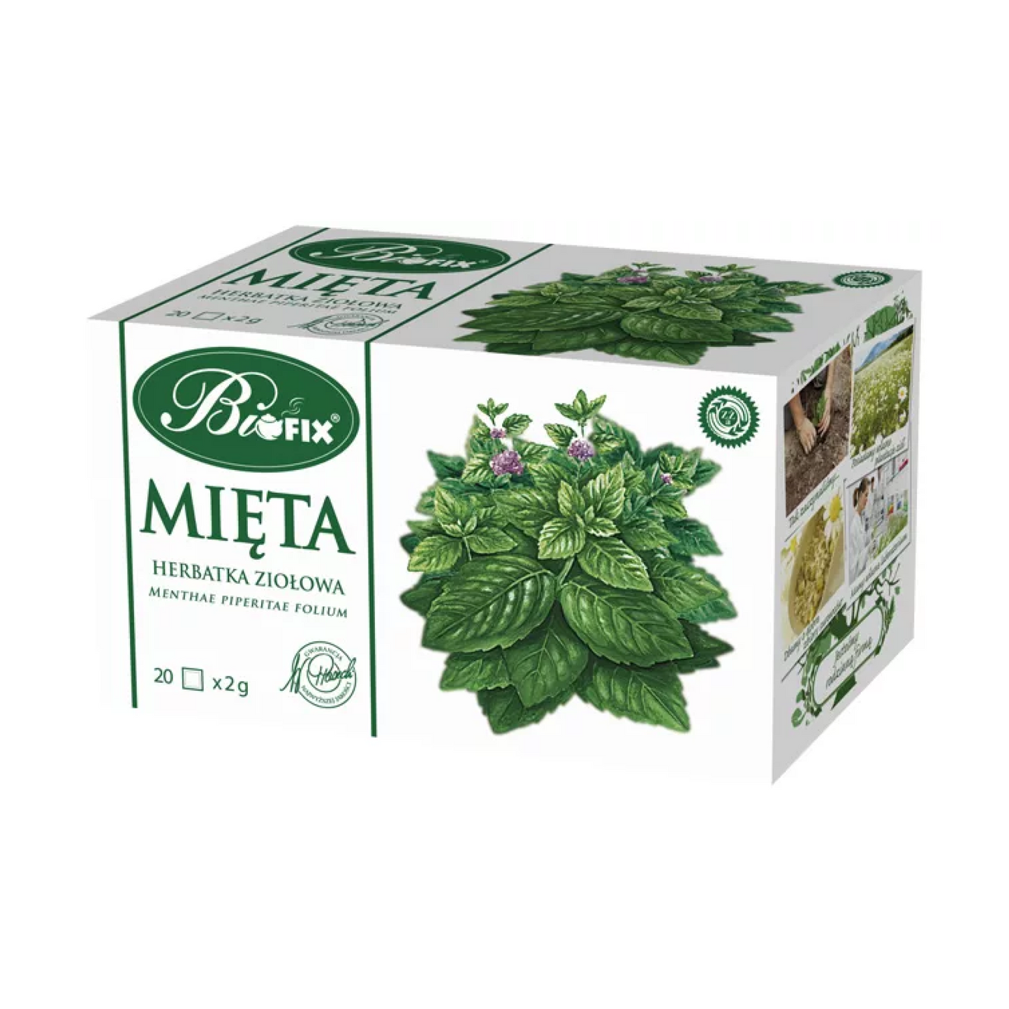 Biofix Peppermint 40g