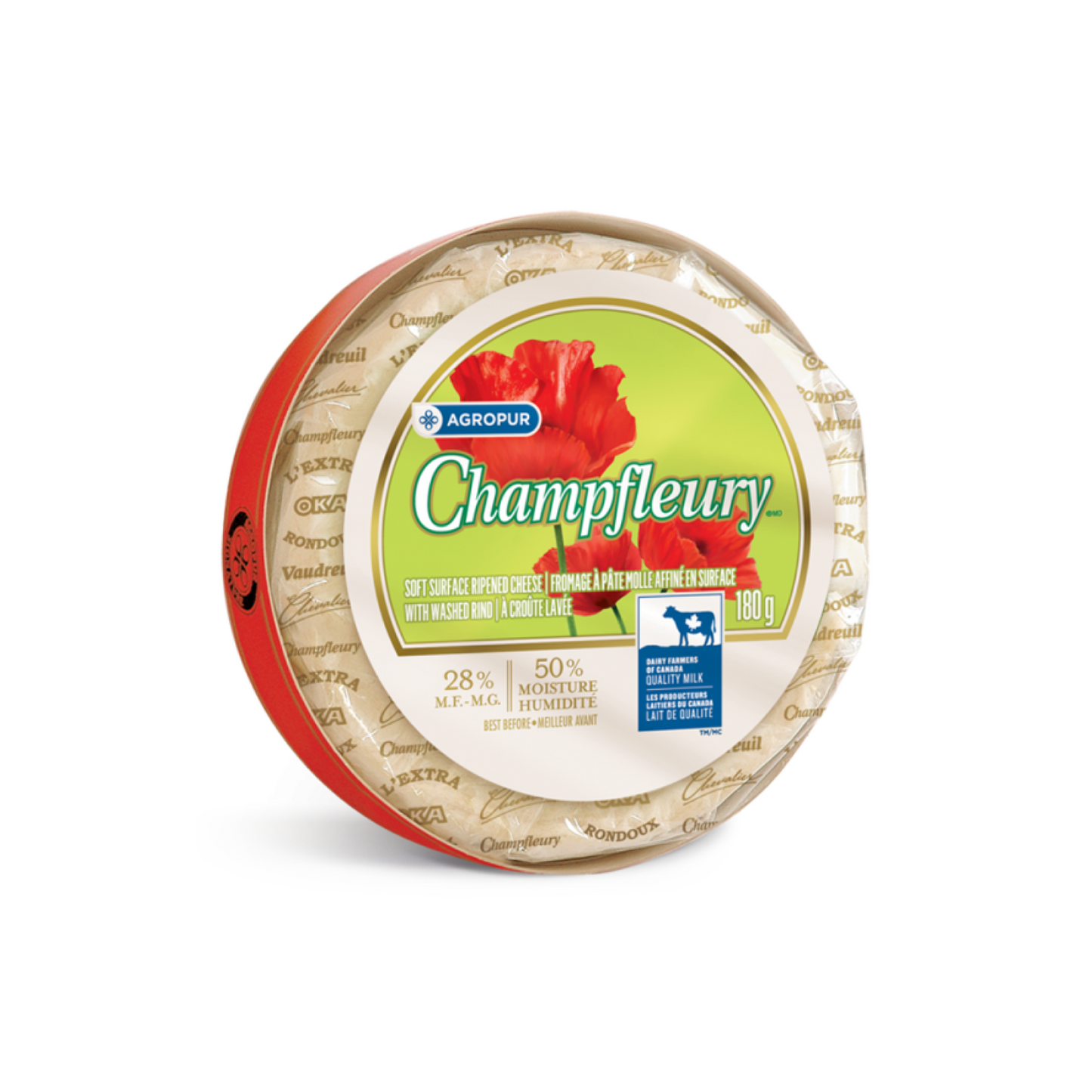 Champfleury